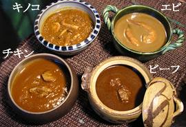 Spicy　Curry　ガラムマサラの写真