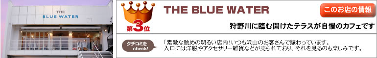 THE BLUE WATER