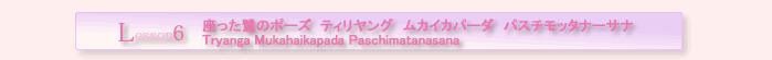 座った鷲のポーズ