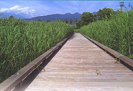 浮島ヶ原自然公園の写真