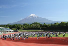 富士総合運動公園(野球場)の写真