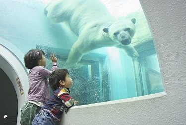 静岡市立日本平動物園の写真