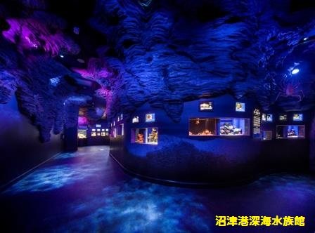 沼津港 深海水族館 シーラカンス ミュージアム 水族館 沼津市 静岡ナビっち