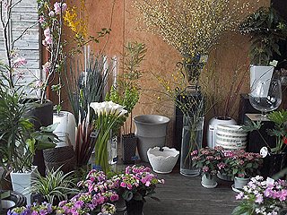 フローリスト花咲 生花 函南町 静岡ナビっち