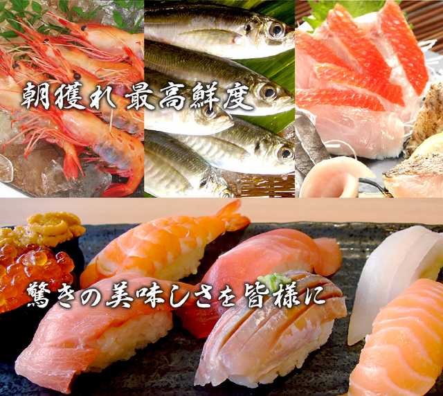 沼津港で水揚げ新鮮魚介で人気の回転寿司10 Offクーポン お店直送 情報お届け便ニュース 回転寿司 朝獲れ地魚 活けいけ丸 沼津港八十三番地 寿司 刺身 沼津市 静岡ナビっち