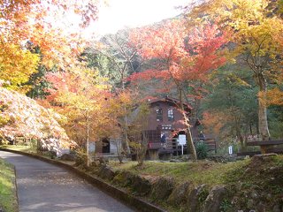 須津川渓谷の写真