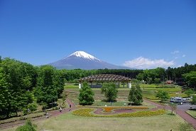 富士山樹空の森の写真