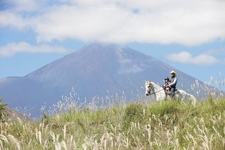 ヴィルタス ライディングクラブの写真