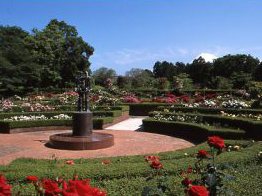広見公園 公園 富士市 静岡ナビっち 広見公園 公園 富士市 静岡ナビっち