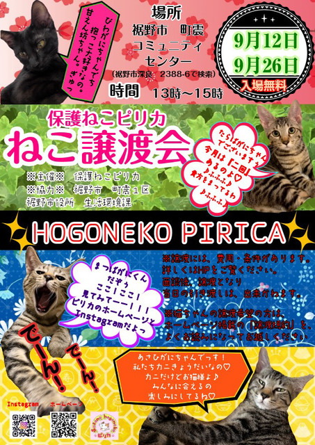 静岡県のイベント 静岡ナビっち 静岡県のイベント 静岡ナビっち