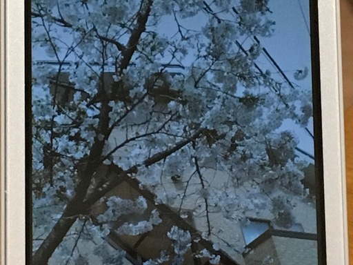 夕陽