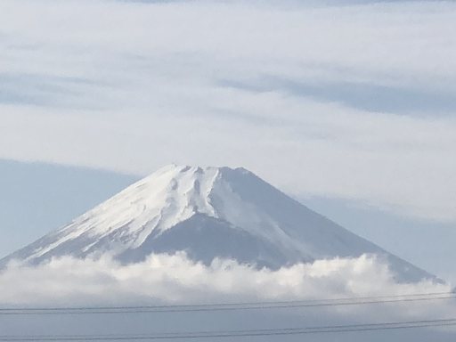 元気な母さん