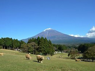 朝霧高原 まかいの牧場'