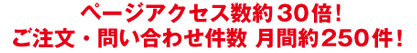 アクセス数約30倍！ご注文件数約250件！